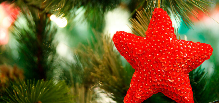 Leader Boeuf Fêtes 2025